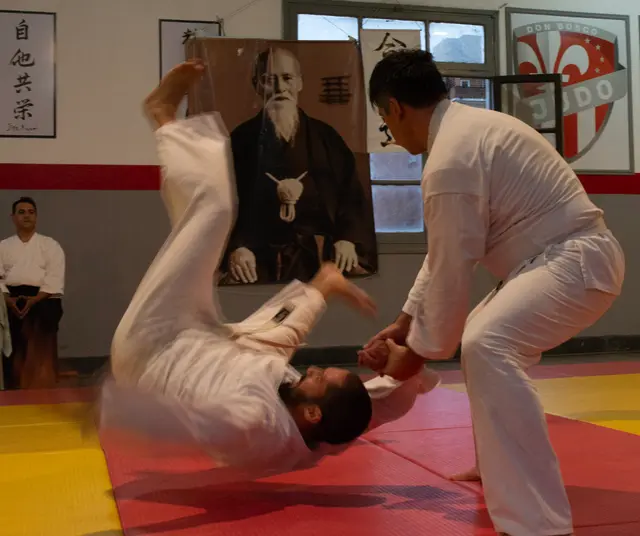 Aikido — fotografía de Ramiro Escobar (Artifex), obra 6